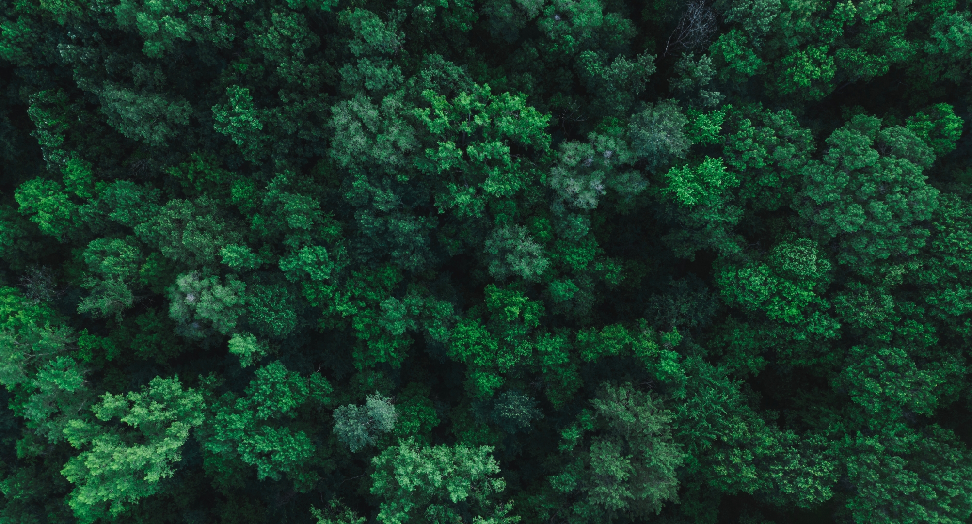 Commited to Reducing Environment Impact